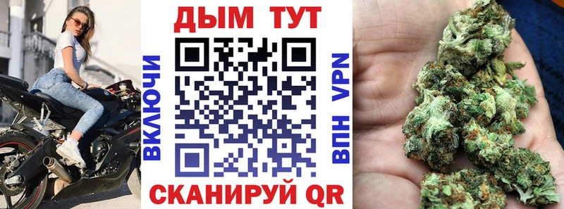 где купить наркоту  сайты даркнета официальный сайт  Конопля SATIVA & INDICA  Яранск 